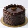 Gâteau chocolat gourmand moelleux cerises crème thumb 8