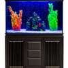 Aquarium thumb 1