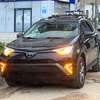 Toyota Rav4 2018 thumb 2