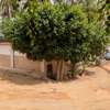 Maison 320m2 angle a vendre au virage thumb 13
