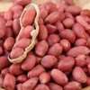 Cacahuètes rouges naturelles fraîches en vrac thumb 0
