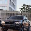 BMW X4 Xdrive 2019 thumb 1