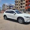 Cx9 2018 thumb 2