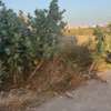 Terrains 150m2 TF à vendre à Senegindia thumb 6
