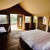 Niokolodge thumb 6
