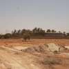 Terrain d'angle 13 502 m² sur la RN1 — Dougar thumb 2