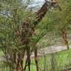 Belle Villa de vacances a louer a Sokone thumb 12