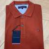 Tommy Hilfiger Polo Classique Col Boutonné thumb 8