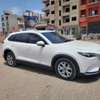 Cx9 2018 thumb 5