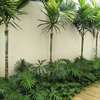 Le gazon naturel par m² thumb 3