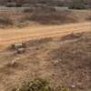 Terrain 360M2 à Yenne Toubab Dialao thumb 3