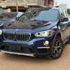 BMW X1 2017 thumb 0