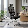 Chaise de Bureau ergonomique thumb 0