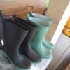 Botte de pluie thumb 0