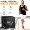 Shilajit Résine Pure Tonus Naturelle thumb 2