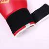 Everlast Gants de boxe Professionnel thumb 8