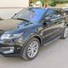 Range Rover Land wind thumb 2