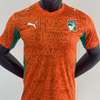Maillot coupe du monde thumb 4