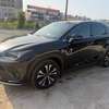 LEXUS NX30 2019 F SPORT thumb 1
