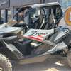 Buggy zforce 1000 thumb 1