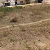 Terrain 150 m2 Titre foncier individuel thumb 3