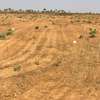 Terrain de 200m2 à vendre à NGUEMBE - THIES thumb 3