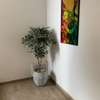 Appartement F2 à louer à Mermoz thumb 8