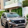 TOYOTA PRADO Lande Cruiser thumb 9