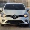 RENAULT CLIO 2019 thumb 1