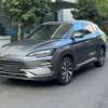 BYD Song PuLS  2024 thumb 1
