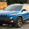 Jeep Cherokee trail walk 2017 thumb 1