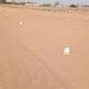 PARCELLES BAIL INDIVIDUEL thumb 0