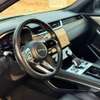 Jaguar _2022 thumb 6