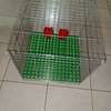 Cage lapin Chat chien poule pigeon thumb 2