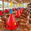 Abreuvoir automatique industrielle thumb 0