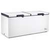 CONGELATEUR 850LITRES FINIX HORIZONTAL 2PORTES BLANC thumb 1
