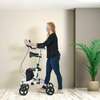 Déambulateur vertical- Rollator  -  Aide à la mobilité thumb 5