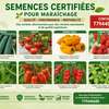 Semences certifiées maraîchage rendement élevé qualité thumb 0