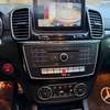 GLE 450 thumb 14