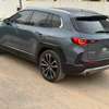 cx50 premium plus thumb 8