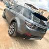 Land Rover Discovery Sport SUV Gris Automatique thumb 4
