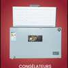 BD-350FX congélateur horizontal 350L classe A+ thumb 1