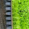 Vente de matériels agricoles thumb 0