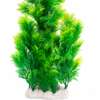 Plante thumb 0