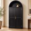 ARMOIRE DE RANGEMENT 2BATTANTS EN ARQUE NOIR thumb 1