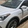 Hyundai Santa Fe SUV blanc essence spacieux thumb 1