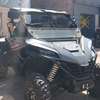 Buggy zforce 1000 thumb 0