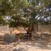 Terrain  clôturé de 5000m2  à Louer Keur Séga thumb 3