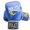 Everlast Gants de boxe Professionnel thumb 11