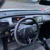 C4 Cactus thumb 4